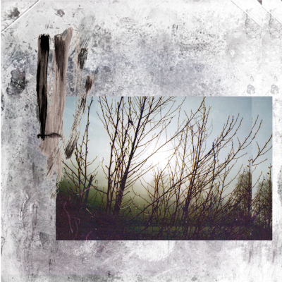 cool collage from pendulow